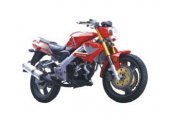 2010 Eagle-Wing DB 300 Naked photo